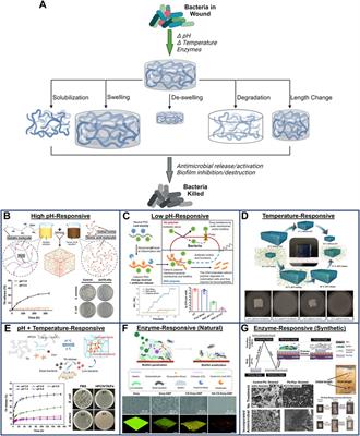 Mini-review antimicrobial smart materials: the future’s defense against wound infections